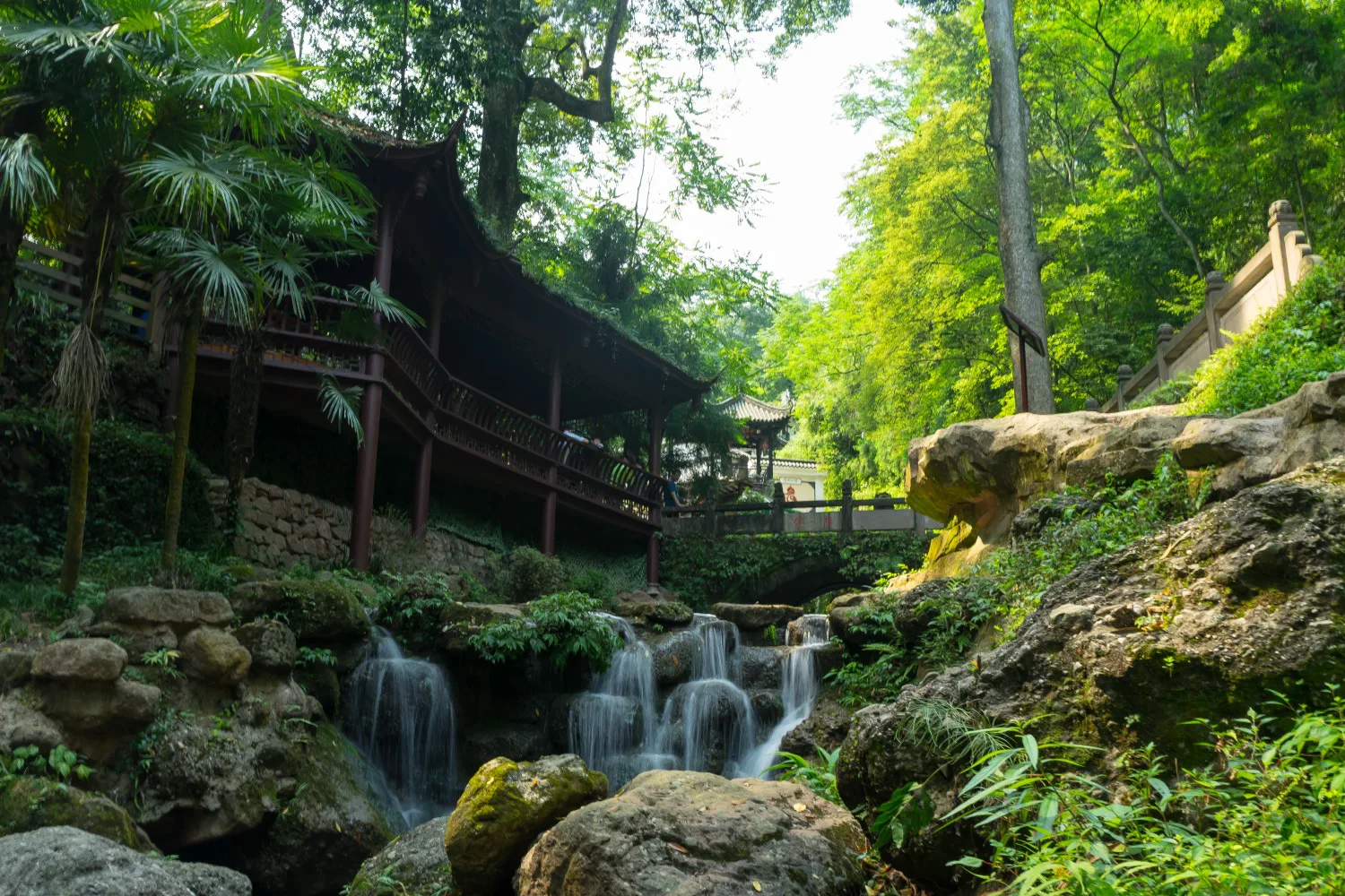 Forested family-friendly scenery at Qingcheng Mountain