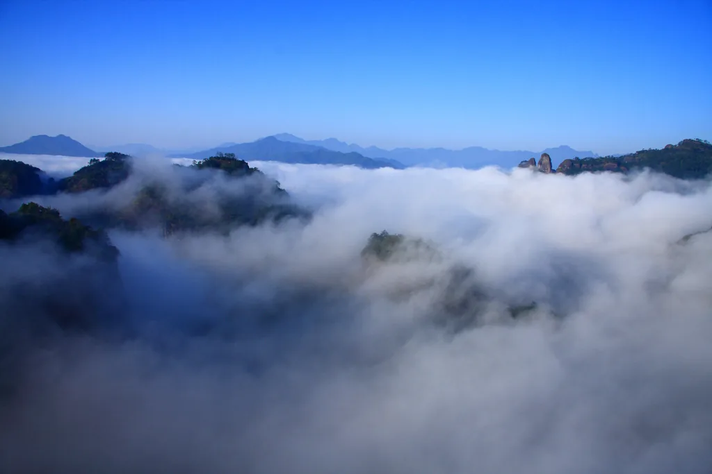 Summer forest and river scenery at Wuyi Mountain